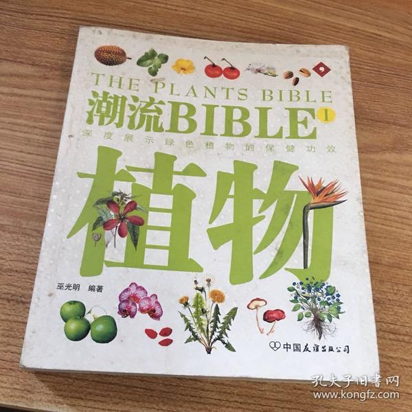 潮流BIBLE：魔力