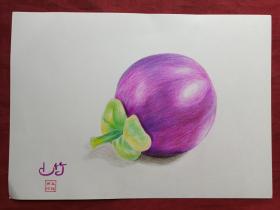 王桂贤彩铅画--山竹2018年