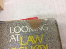 Looking at law school - a student guide from the society of American law teachers   英文原版【存于溪木素年书店】