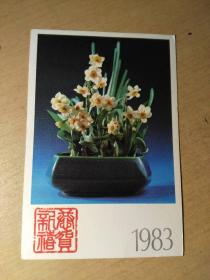 1983年 恭贺新禧 邮资明信片  水仙花