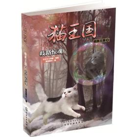 猫王国：暗黑王国2--歧路惊魂