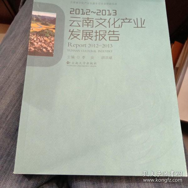 2012—2013云南文化产业发展报告