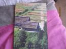 魯迅年文學(xué)叢書：散文隨筆集《本色家園》.