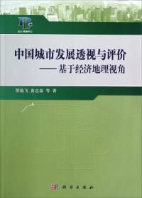 中国城市发展透视与评价：基于经济地理视角