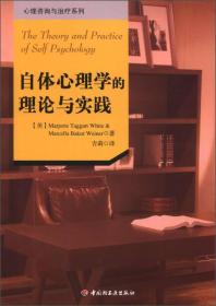 心理咨询与治疗系列：自体心理学的理论与实践