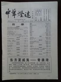 中华灯谜2001年1-12期全年11本（总第93-104期）