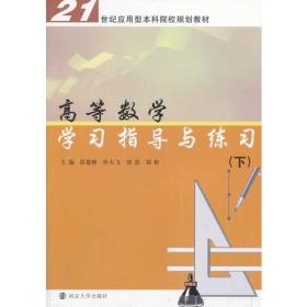 21世纪应用型本科院校规划教材/高等数学学习指导与练习（下）