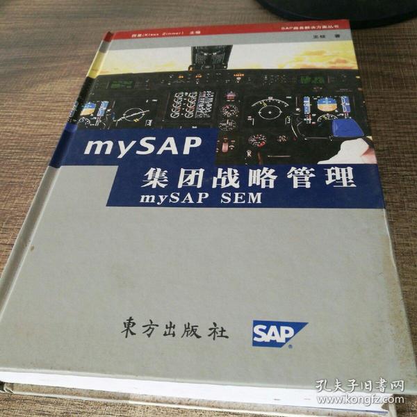 mySAP集团战略管理