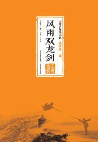 风雨双龙剑 王度庐作品大系-武侠卷（陆）