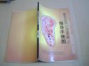 绿色自然生物测病点穴针指导手册图