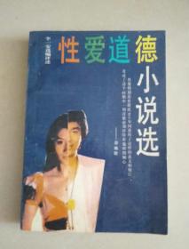 性爱道德小说选
