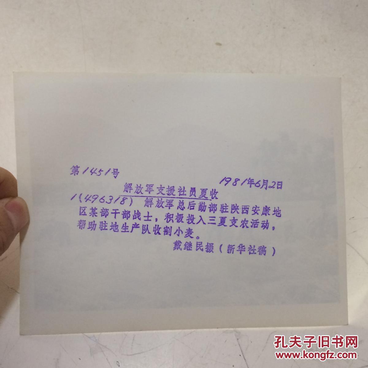 1981年新华社老照片：解放军支援社员夏收 1 背面有说明 地点：解放军总后勤部驻陕西安康地区某部战士