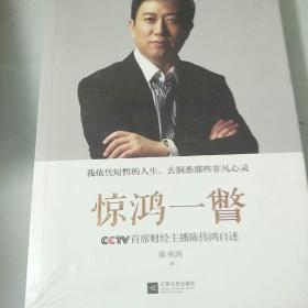 惊鸿一瞥：CCTV首席财经主播陈伟鸿自述