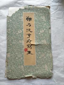 1960年一版一印：郑乃珖花卉写生 20开活页12张全