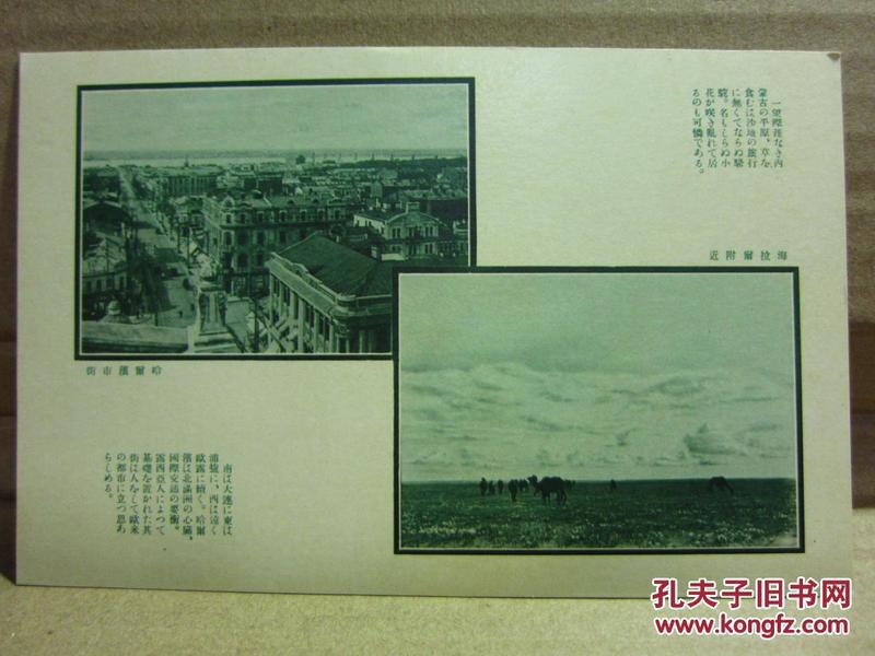 侵华写真明信片《海拉尔附近》1张