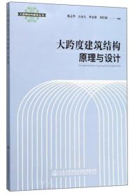 大跨度建筑结构原理与设计/大型钢结构建筑丛书