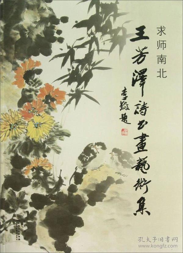 求师南北：王芳泽诗书画艺术集