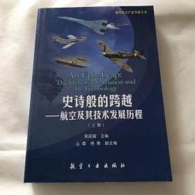 通用航空产业发展丛书 史诗般的跨越：航空及其技术发展历程（上册）