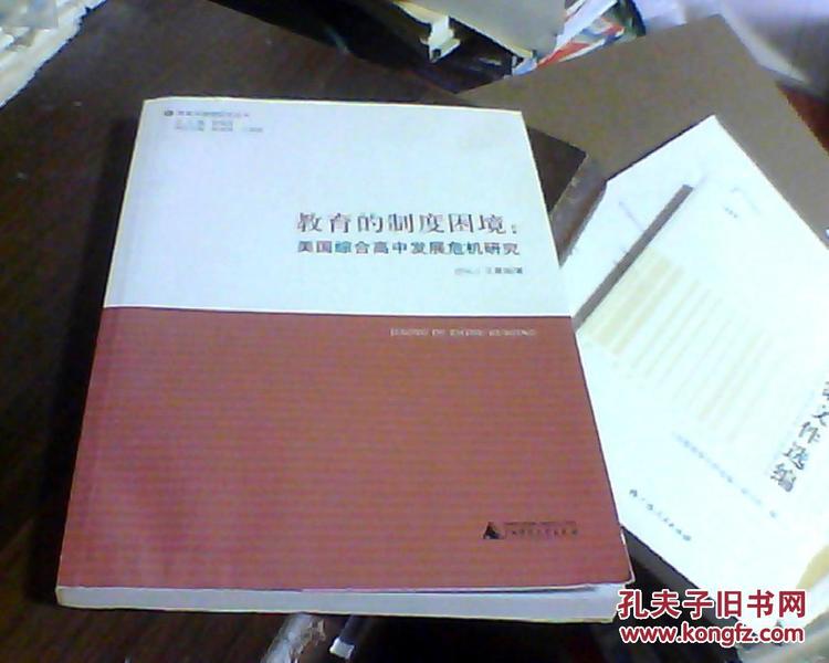 教育的制度困境：美国综合高中发展危机研究/教育学原理研究丛书