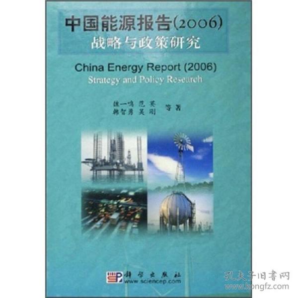 中国能源报告（2006）：战略与政策研究