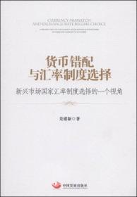 货币错配与汇率制度选择：新兴市场国家汇率制度选择的一个视角