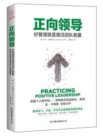 二手正版正向领导:好管理就是激活团队正能量  金卡梅隆 中国友谊出版公司