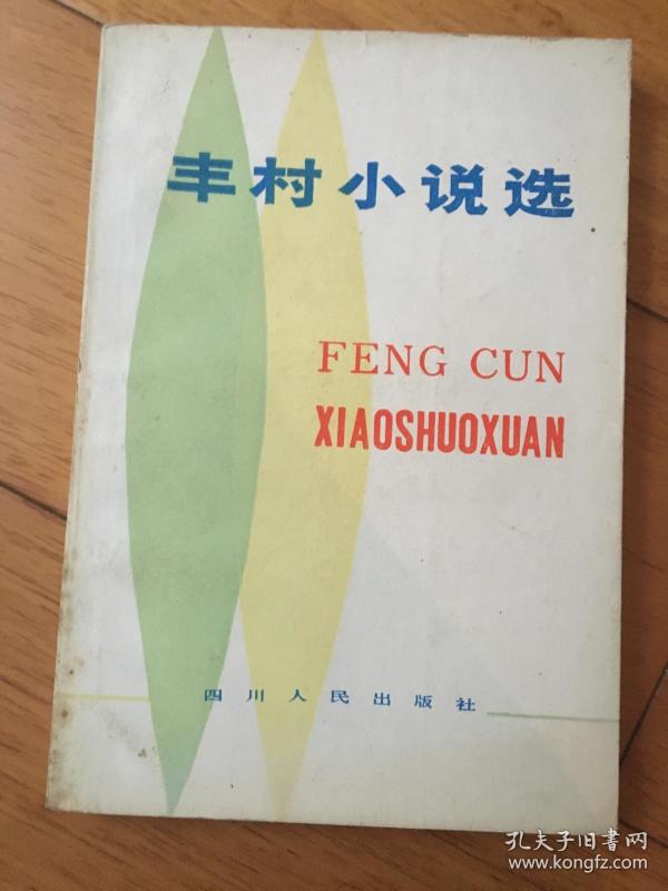丰村小说选