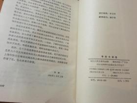 丰村小说选