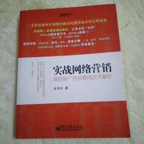 实战网络营销：网络推广经典案例战术解析