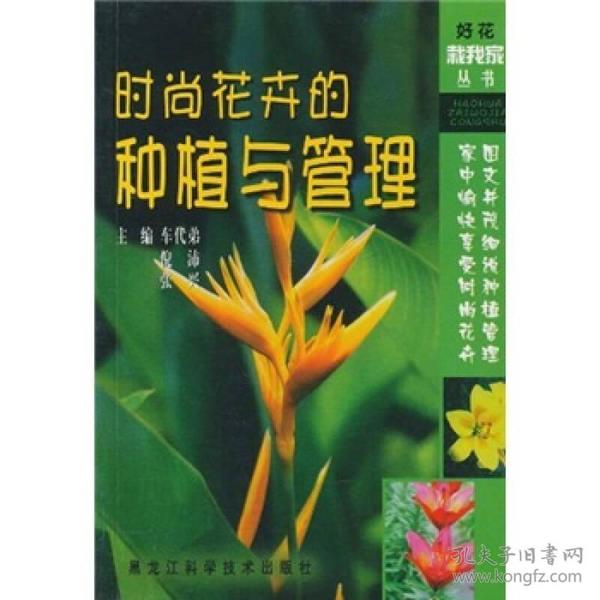 时尚花卉的种植与管理