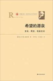 希望的源泉：文化、民主、社会主义