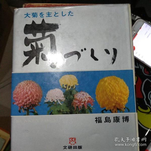 日文原版 大菊をとした 菊ベムソ