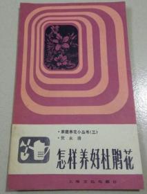 怎样养好杜鹃花