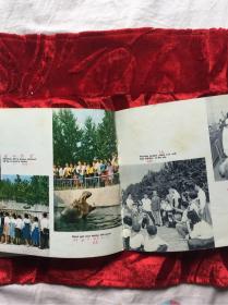 The Pyongyang Zoo 平壤动物园 1973年英文版老画册