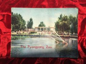 The Pyongyang Zoo 平壤动物园 1973年英文版老画册