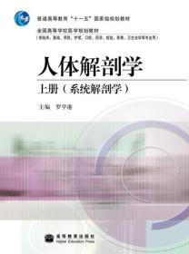人體解剖學(xué)（上冊(cè)）（系統(tǒng)解剖學(xué)）羅學(xué)港 編高等教育出版社9787040285536