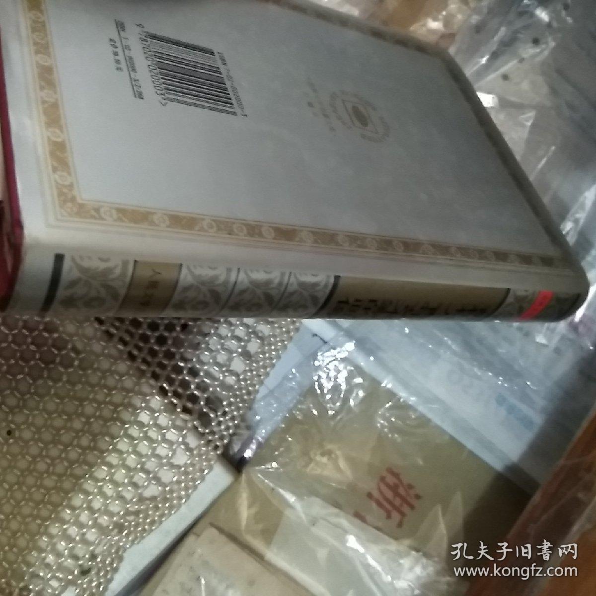 都柏林人青年艺术家的画像（1996年一版一印）