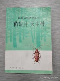 鞘翅目天牛科——陕西省经济昆虫志