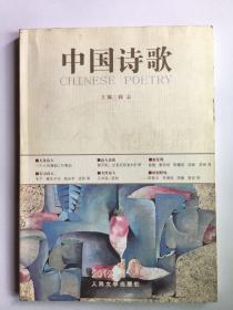 中国诗歌 第34卷 二零一二 第十卷