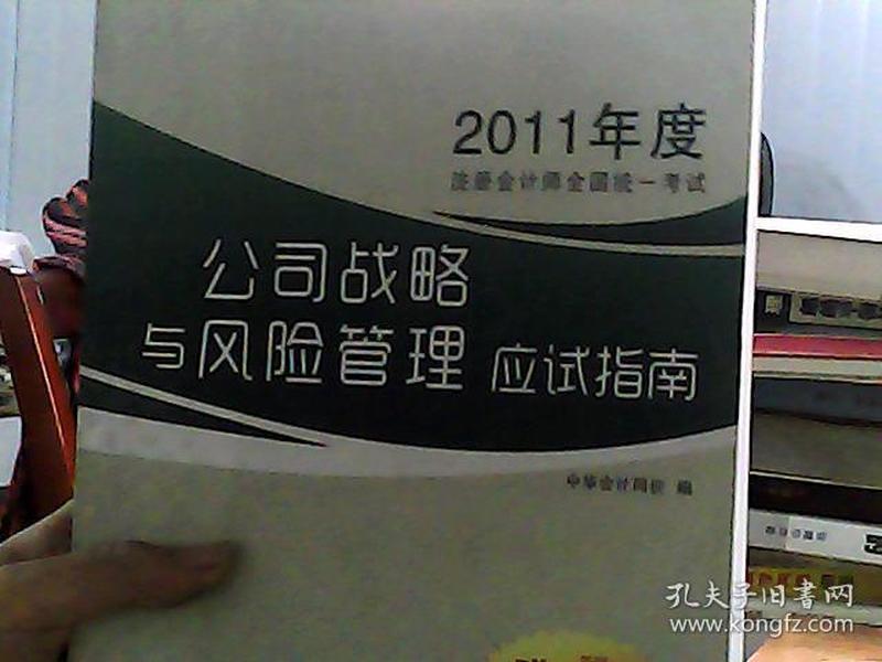 2012年度注册会计师全国统一考试：公司战略与风险管理（应试指南）