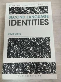 Second Language Identities 【英文原版，全新佳品】