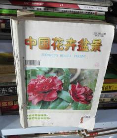 中国花卉盆景1998.01-12