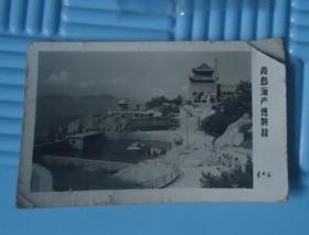 青岛海产博物馆怀旧老照片（10*6CM）