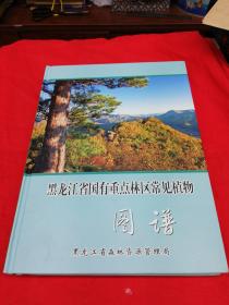 黑龙江省国有重点林区常见植物图谱，精装本大16开！