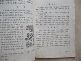 世界珍闻 第二集
