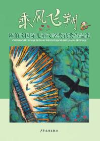 ★陈伯吹国际儿童文学奖获奖作品集：乘风飞翔