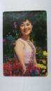 年历卡——1981年（美人）