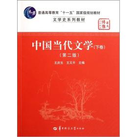 文学史系列教材华大博雅高校教材：中国当代文学（下）（第2版）