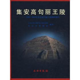 集安高句丽王陵 专著 1990~2003年集安高句丽王陵调查报告 傅佳欣主编 吉林省