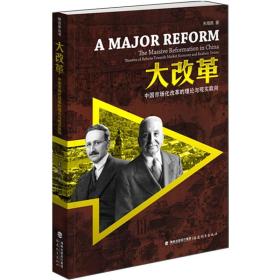 大改革：中国市场化改革的理论与现实取向，全新